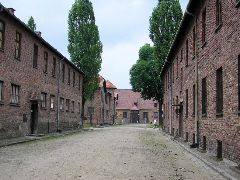 Private tour auschwitz from krakow