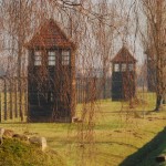 Private Tours Krakow -Birkenau