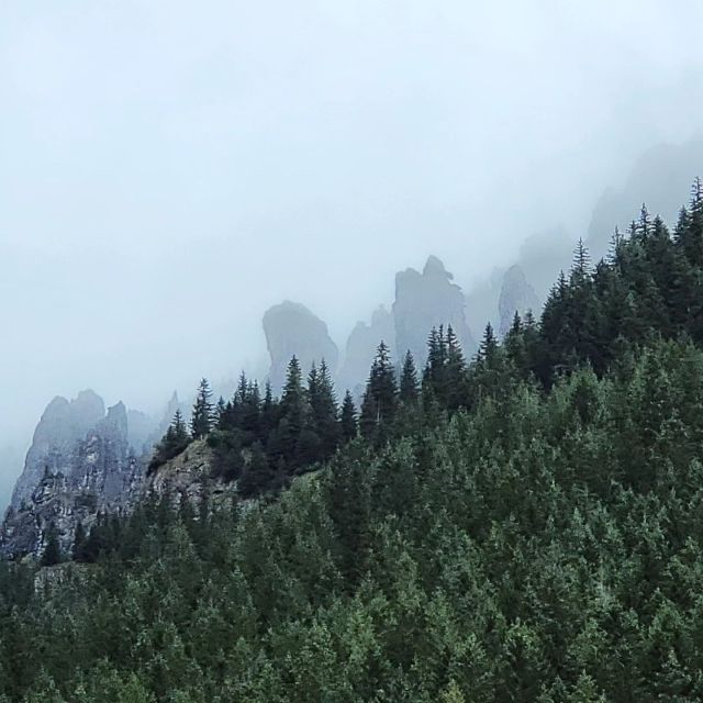 Tatras are always mysterious whatever weather there is .. For individuals and families .. High on the peaks and down in the valleys. You can hike with us and discover the unknown. 

#poland 
#tatramountains
#tatry 
#mountains 
#dolinachocholowska
#chocholowskavalley 
#privatetourskrakow
#tatras 
#privatetourstatras